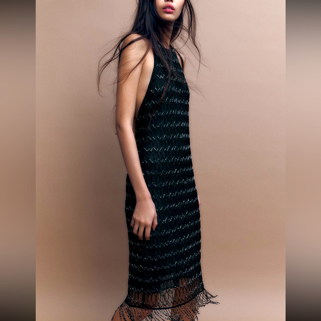 Zara Limited Edition Sequin Fringe Prom Dress